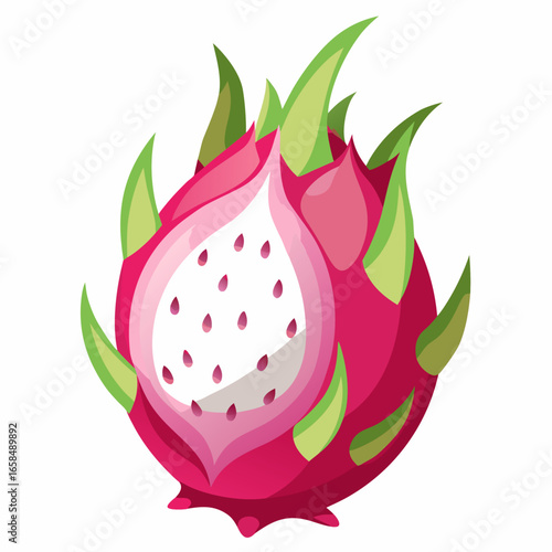 dragon fruit vector illustration