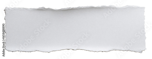 A rectangular piece of ripped white paper (1)