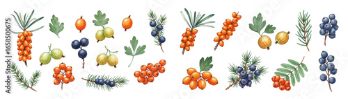 Vibrant assortment of berries and leaves showcasing nature's colorful bounty.
