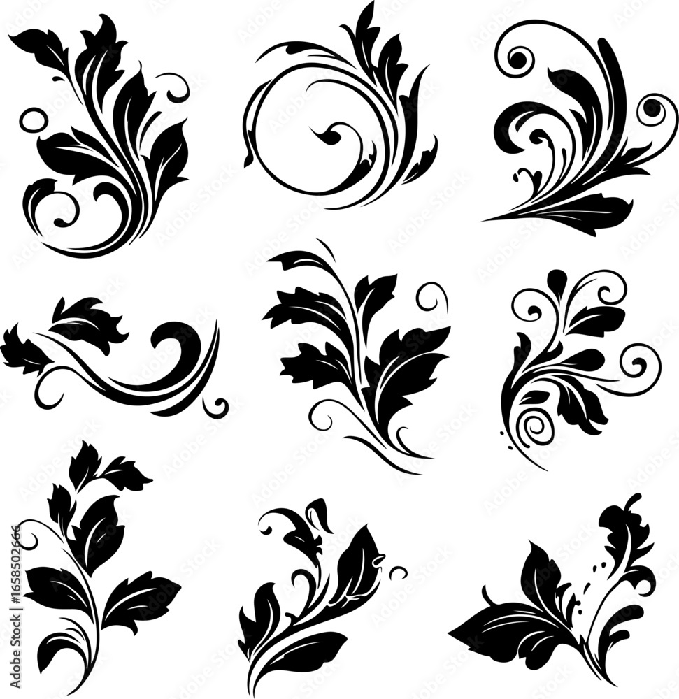 Fototapeta premium Elegant Floral Swirl Vectors Collection