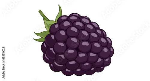 Illustration of a blackberry fruit with green leaves and a stem on a white background close up view on transparent background