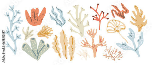 Colorful underwater coral and seaweed collection illustrating marine diversity.