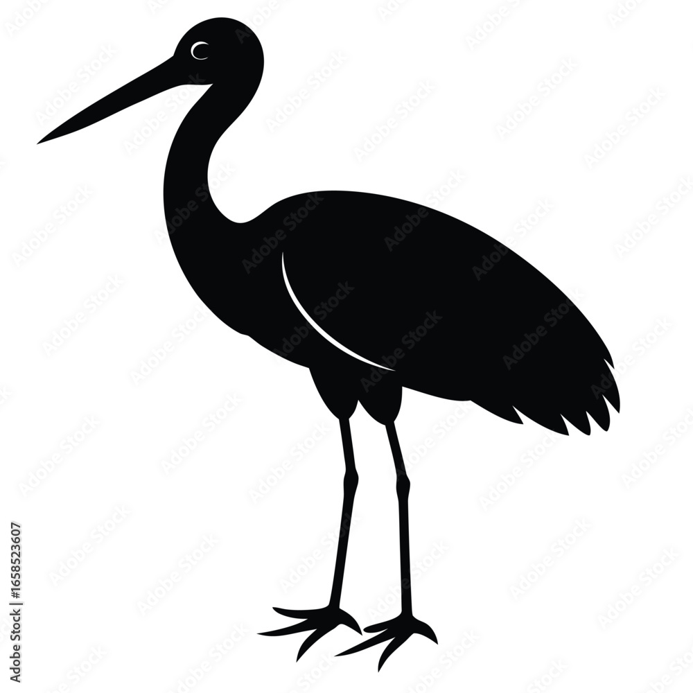 Obraz premium A white stork stands with a baby on a beach, a graceful bird in nature