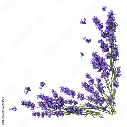 Lavender sprigs in a corner arrangement