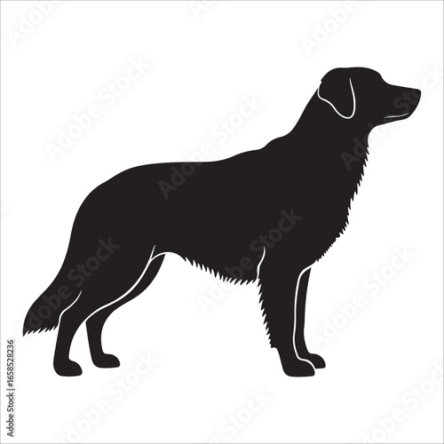 Dog silhouette vector Illustration:  Alert, Muscular Canine Standing on Rocky Ground, Vintage Style.