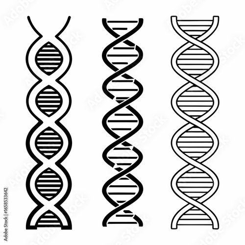 Set of three dna helix strand molecules isolated on white background for science and biology concept