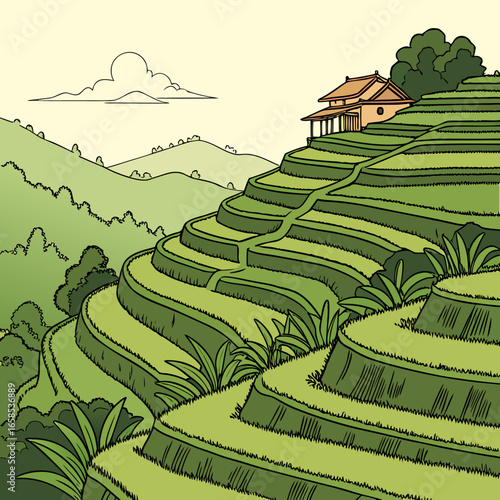 Illustration of rice terraces with a house on top of the hill