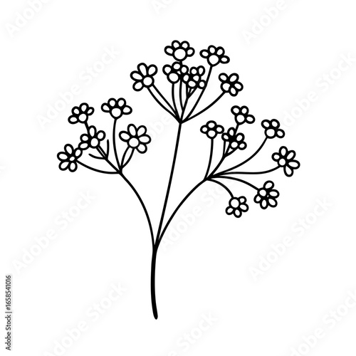 gypsophila flower line art