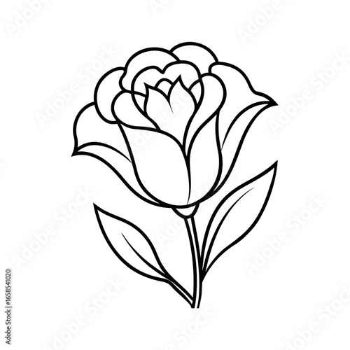  lisianthus flower line art