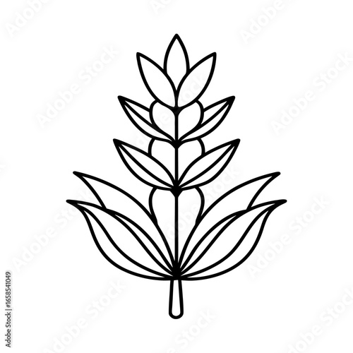 lavender flower line art