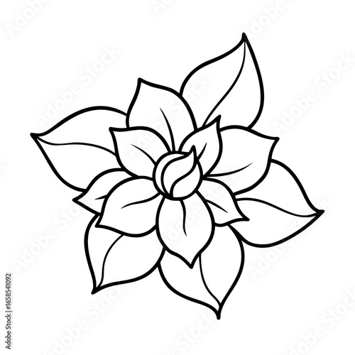 jasmine flower line art
