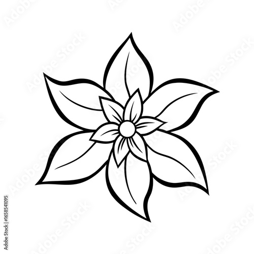 jasmine flower vector