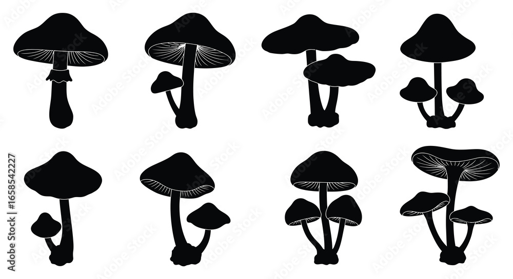 A collection of various mushroom silhouettes in different shapes and sizes A collection of various mushroom silhouettes in different shapes and sizes