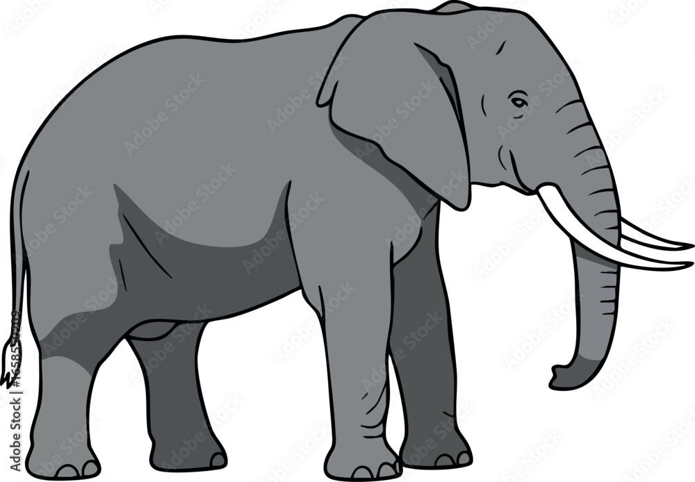 Fototapeta premium Elephant standing side view simple grey vector illustration design animal wildlife image 