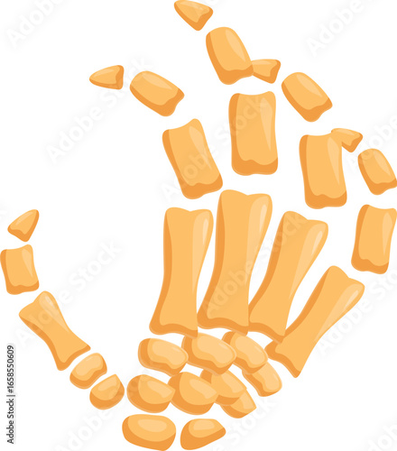 Skeleton hand forming circle with fingers, symbolizing okay gesture, featuring detailed bone structure