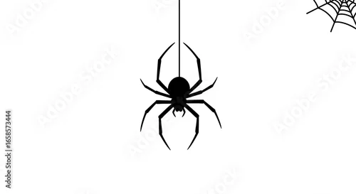Fototapeta Black spider hanging from a web on a white background