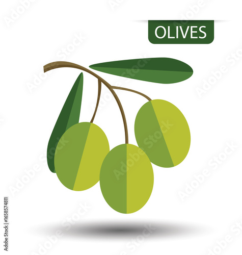 Green olives, fruit vector illustration