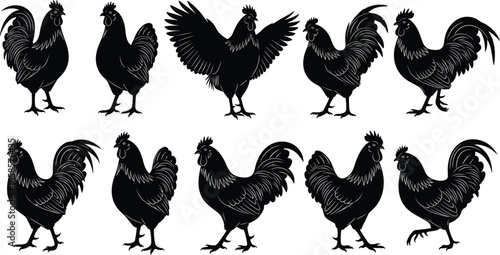 Silhouette rooster vector collection, farm animal clipart, decorative poultry graphic set, black rooster poses isolated on white background for agriculture design use