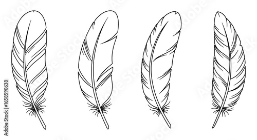 Four black and white line drawn feathers in different shapes and sizes