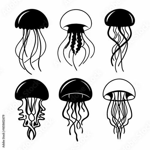 Set of jellyfish vector illustration isolated on white background simple jellyfish icons