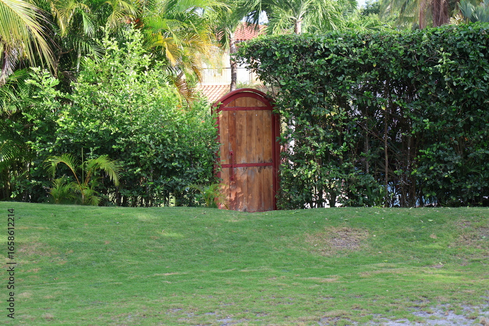 Fototapeta premium garden gate in the garden