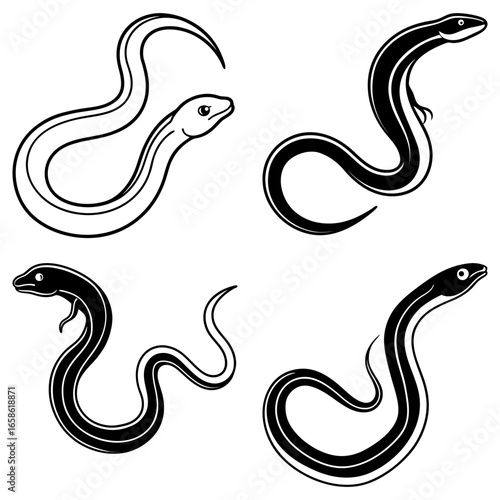 Illustration of four eels in different poses with varying line thickness and fill patterns on white background
