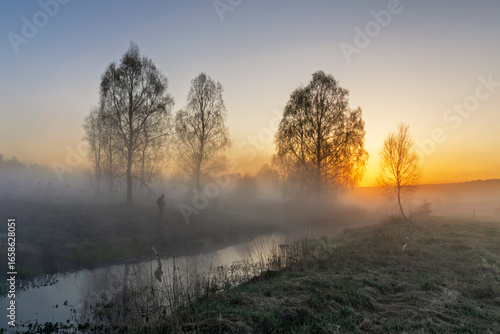 Sun rays shine through a tree in the fog with man on background