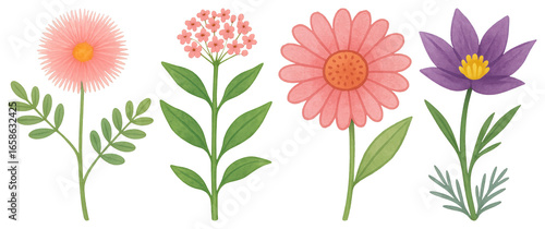 Wallpaper Mural PNG Colorful hand-drawn floral illustration, element set on transparent background Torontodigital.ca