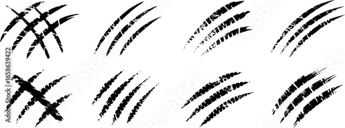 Black claw marks on white background scratches animal tracks