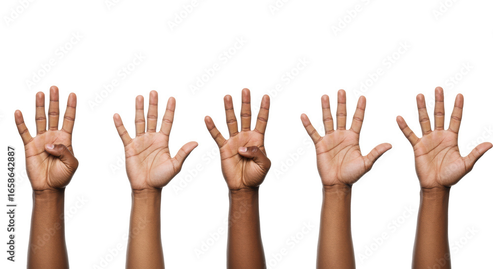 Five distinct human hands, diverse skin tones, well-groomed, sequentially display one to five fingers on a brilliant white studio background, ample copy space. Concept of progress and options Five distinct human hands, diverse skin tones, well-groomed, sequentially display one to five fingers on a brilliant white studio background, ample copy space. Concept of progress and options