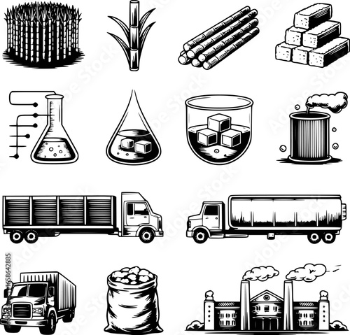 Sugarcane processing and sugar production icons sugar cane stalks