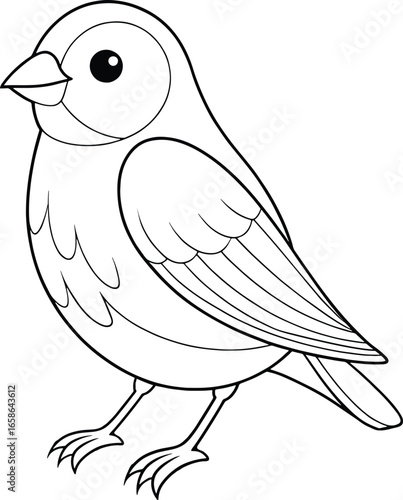Cartoon canary line art drawing with rounded body and detailed wings ideal for educational resources and coloring projects