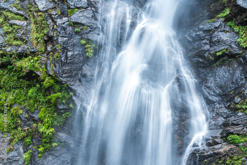 Obraz premium Beautiful waterfall in a tropical rainforest in a magical environment. Silk effect water in long exposure in the colombian jungles