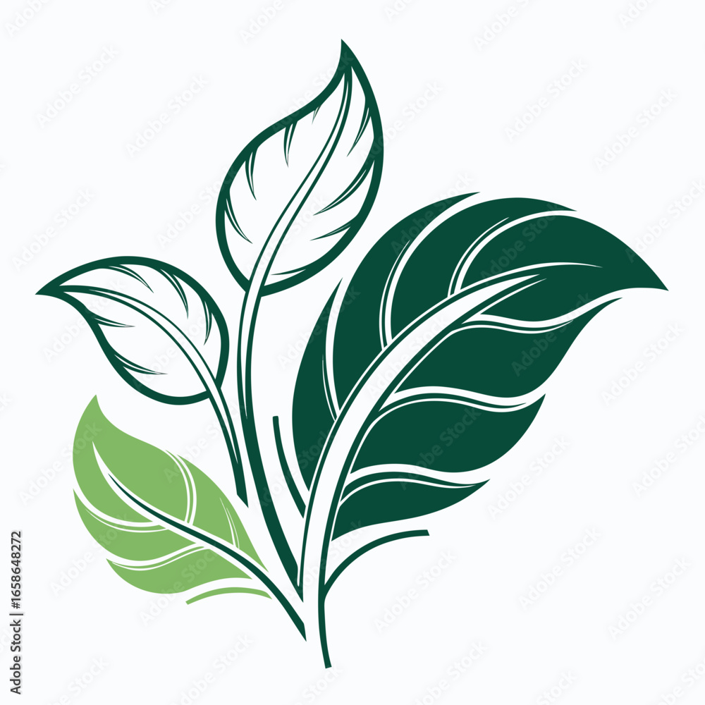 Fototapeta premium Botanical Illustration of Green Leaves with Delicate Veins on a White Background Ideal for Eco Friendly Designs
