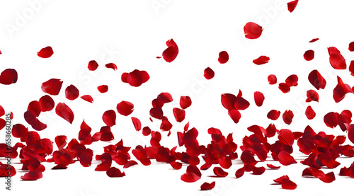 Falling red rose petals isolated on transparent background for valentines day