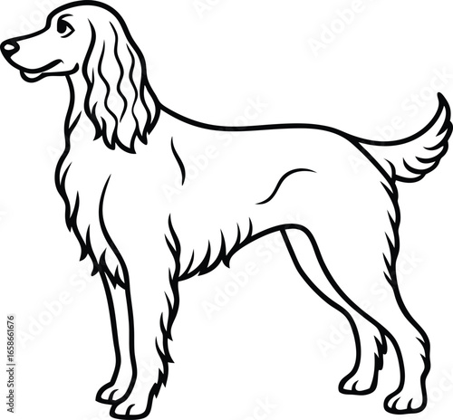 Line Art Illustration of Irish Setter Dog Full Body Cute Cartoon Vector, Full Body Irish Setter Line Art, Cartoon Dog Line Illustration, Cute Irish Setter Vector