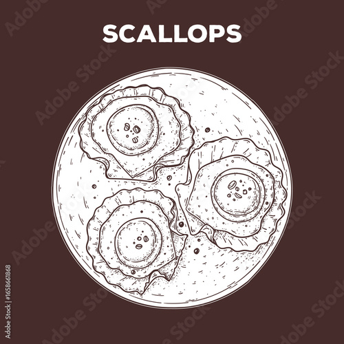Scallops sketch. Hand drawn vector illustration. Gastropub, gastrobar, pub food. Detailed design element. Top view.
