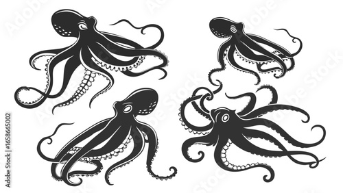 Collection of four stylized black octopus silhouettes with detailed tentacles and suckers on a white background