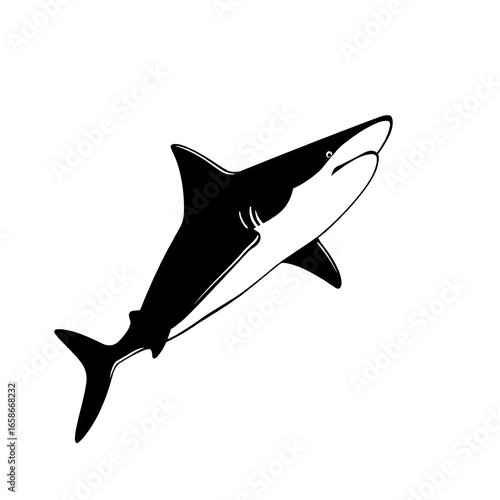 Shark vector illustration with silhouette isolated on white background swimming in the ocean