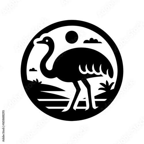 ostrich isolated on white