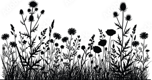 Wildflower silhouette illustration with meadow grass and blooming plants, black floral vector art, nature botanical design, summer field flowers background