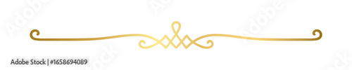 Gold text divider doodle. Wedding decorative element. Divider ornament, border, vintage line separator. Hand drawn vector illustration isolated on a transparent background