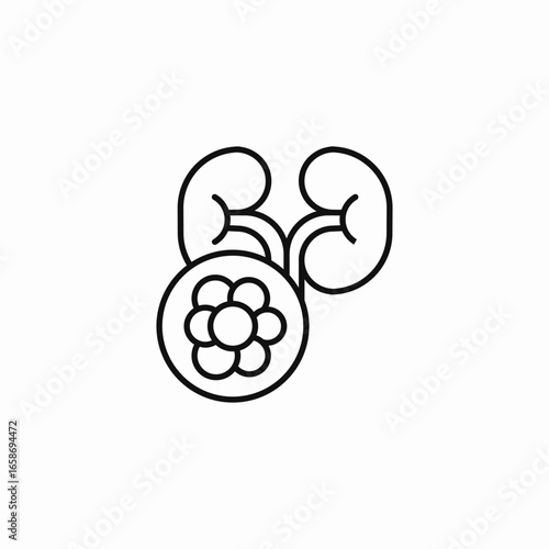 kidneys infertility icon icon sign vector