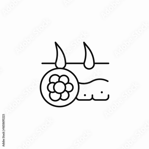 skin and pollen icon sign vector