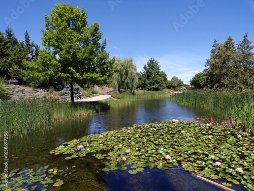 Wallpaper Mural Park's landscape with trees and pond with lotuses Torontodigital.ca