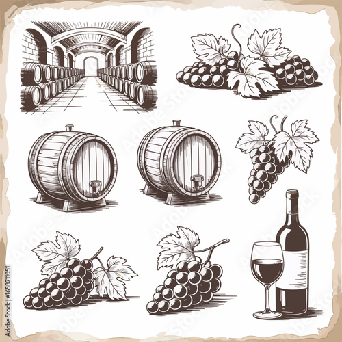 Vintage illustration of wine cellar barrels grapes and wine bottle with glass