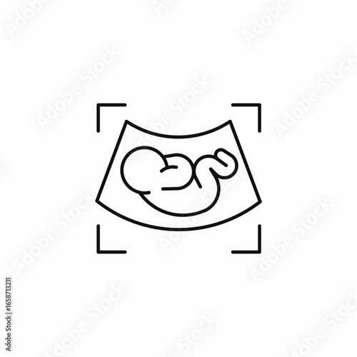 fetal ultrasound in frame icon sign vector