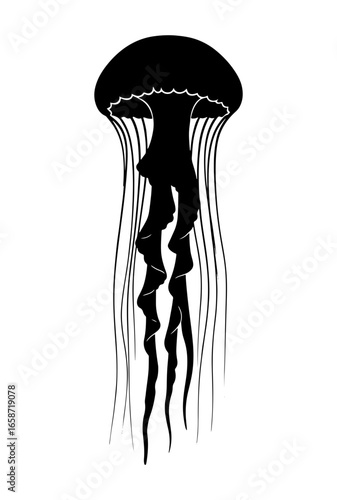 Vector art of black silhouette of a jellyfish with long tentacles