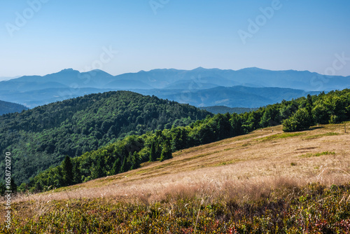 Fototapeta Naklejka Na Ścianę i Meble -  Beskid Żywiecki