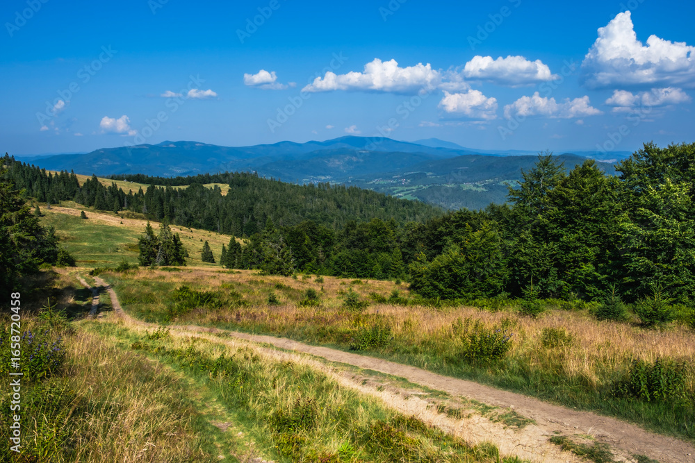 Naklejka premium Beskid Żywiecki
